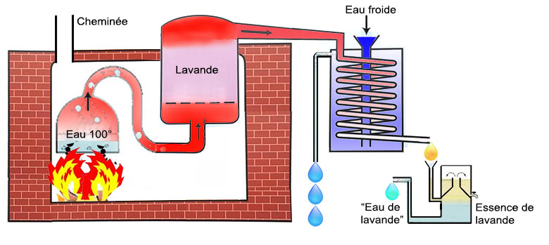 Principe de fonctionnement des alambics des Salles-sur-Verdon